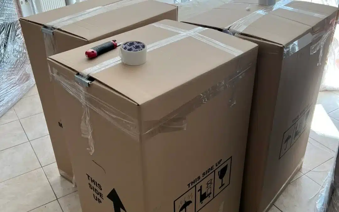 Τι πρέπει να γνωρίζω για την παράδοση των αγαθών μου;