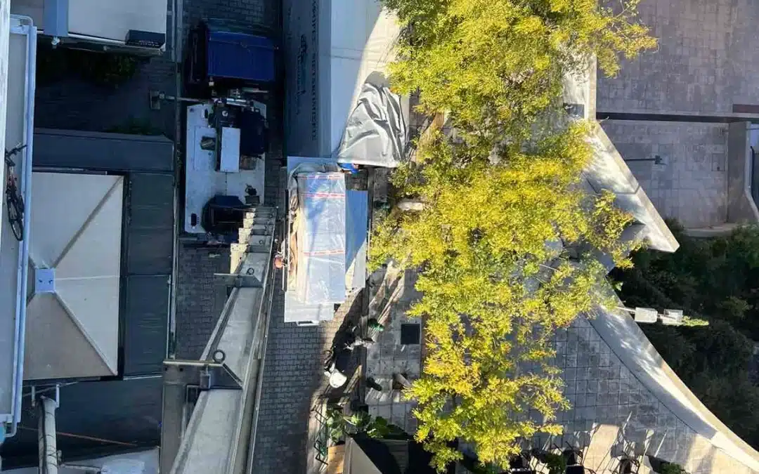 Οδηγίες για μια Εύκολη Μετακόμιση: Συμβουλές για Άνετη Μετακόμιση