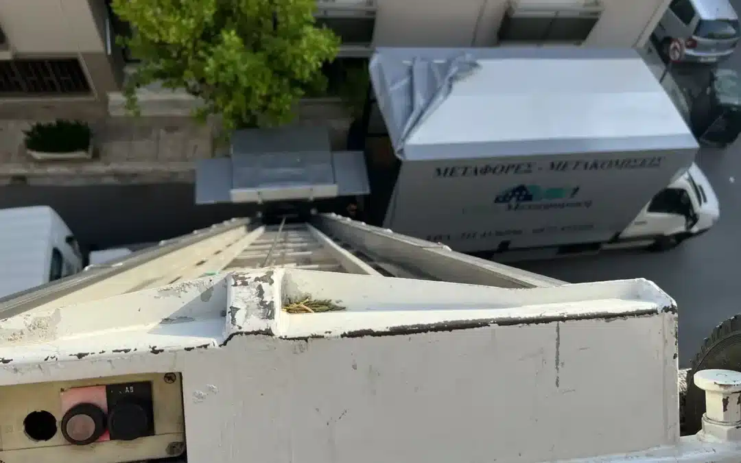 Χρήση ανυψωτικού για μετακόμιση: Επαγγελματική εξυπηρέτηση